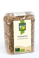 CEBADA GERMINAR BOHLSENER